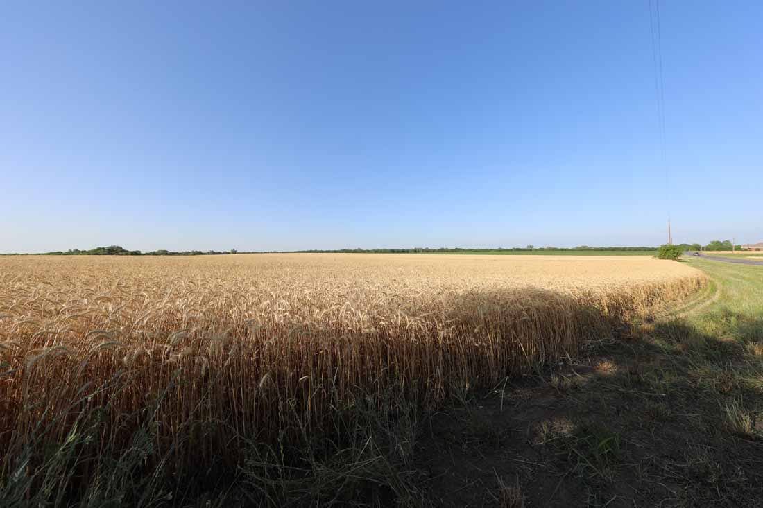 Southern Grayson County Farm and Grain Fields
